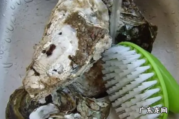 生蚝肉怎么清洗,生蚝肉怎么处理干净