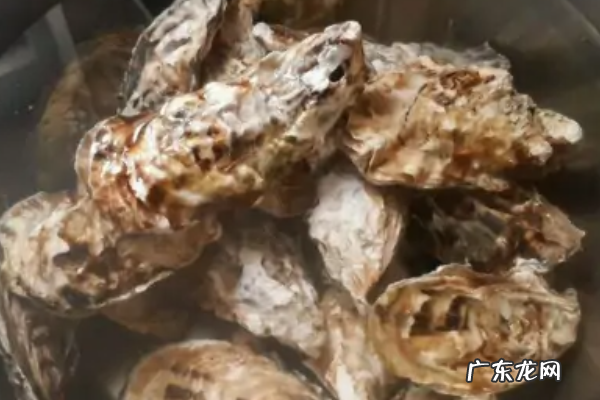 生蚝肉怎么清洗,生蚝肉怎么处理干净