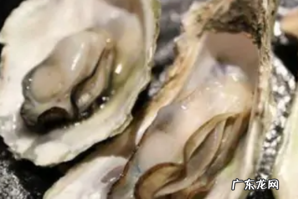 生蚝肉怎么清洗,生蚝肉怎么处理干净
