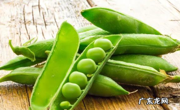 豌豆热量高,豌豆的热量是多少