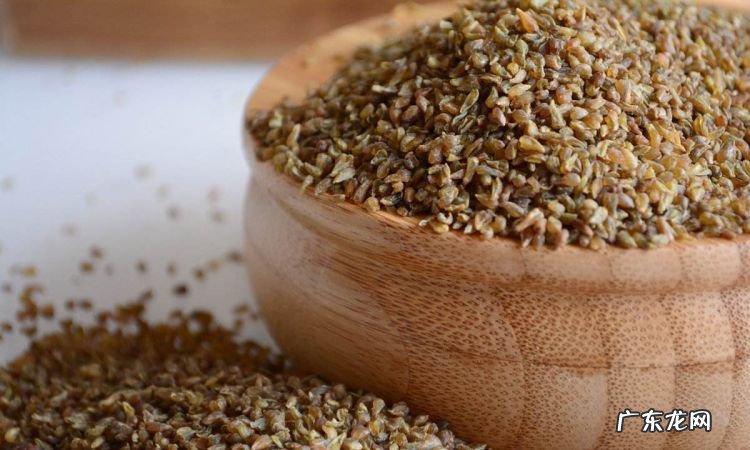 荞麦有苦味,苦荞和荞麦是一种东西