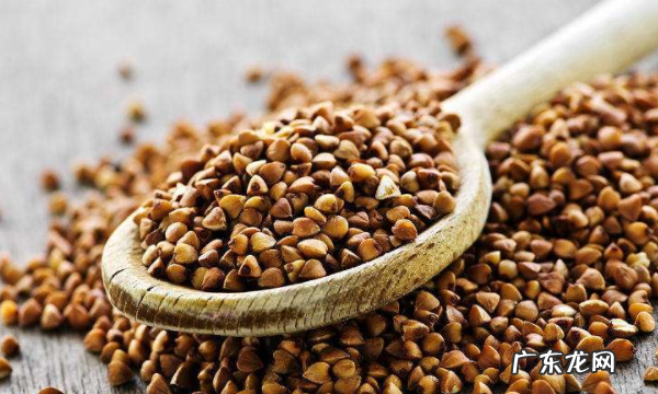 荞麦有苦味,苦荞和荞麦是一种东西