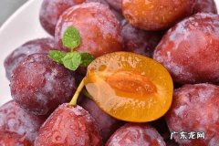 西梅常温能放多久,法兰西西梅冷藏能保存多久