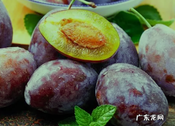西梅常温能放多久,法兰西西梅冷藏能保存多久