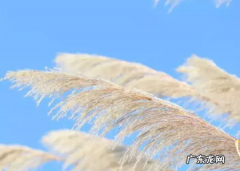 西北风是什么季节,中国一年四季吹什么风