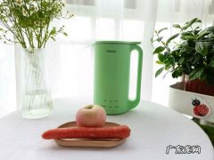 胡萝卜汁怎么做,胡萝卜汁的做法