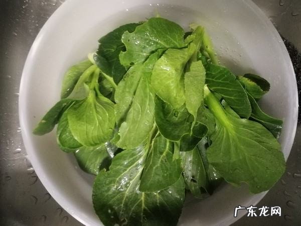 菜心怎么做好吃又简单视频,如何做菜心好吃又简单