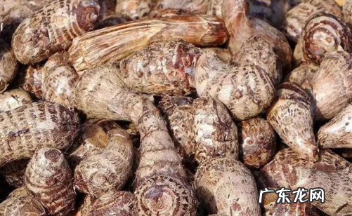 芋头怎么正确保存,芋头怎么保存不容易坏
