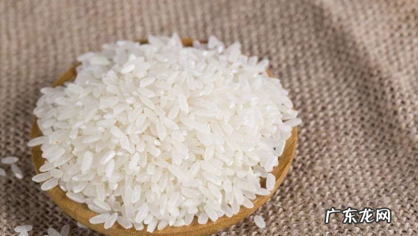 米里生虫子了还能吃,大米生虫子还能吃是黑色的虫子