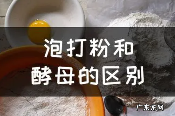 泡打粉和酵母有什么区别,泡打粉与酵母粉有何区别