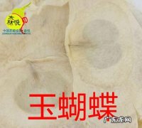 玉蝴蝶的功效与作用,玉蝴蝶能减肥