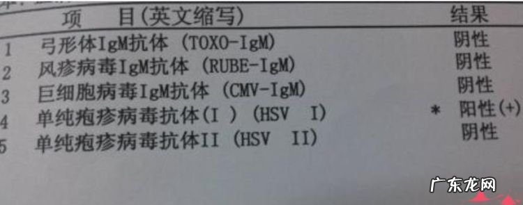 抗体是什么意思好的还是坏,什么叫做抗体和抗原