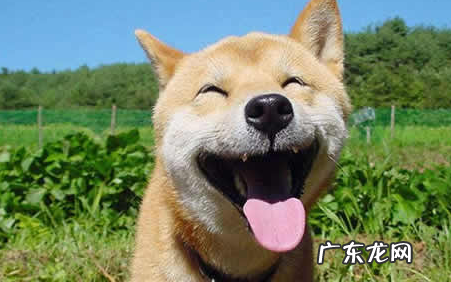 生活中还有什么也是美好的礼物,生活中还有什么礼物也是美好的