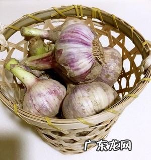 糖蒜腌制方法及配方窍门,腌糖蒜的配方比例0斤