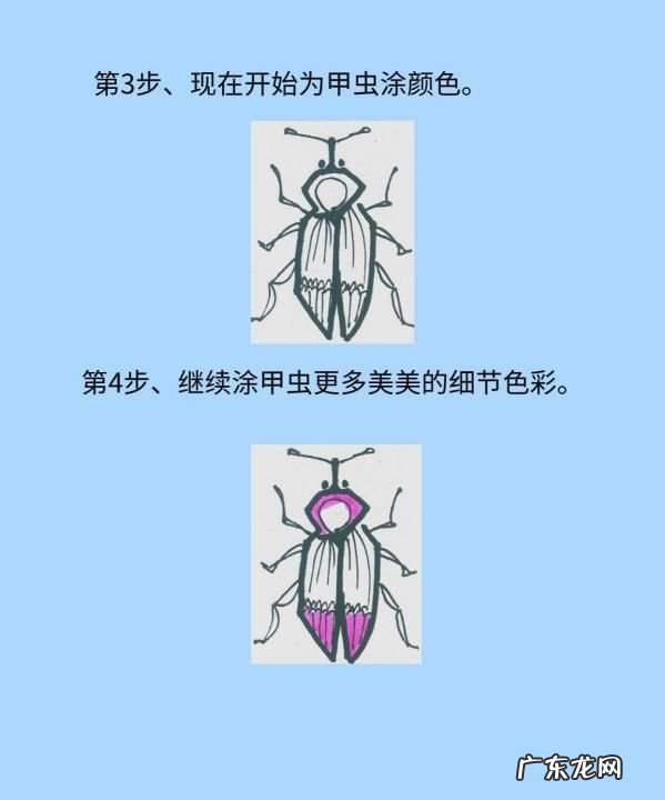 甲壳虫的简笔画怎么画,三年级独角仙的生活特点是什么