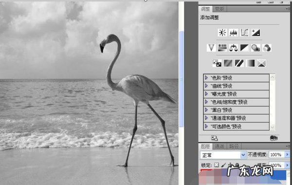 ps怎么制作黑白风景照片,怎么用ps把相片弄成黑白照片