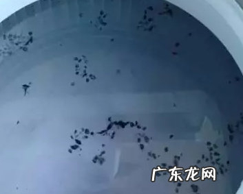 洗衣机怎么清洗,洗衣机怎么清洗教程