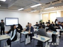 头雁工程的意思,头雁计划和领头雁计划是一码事