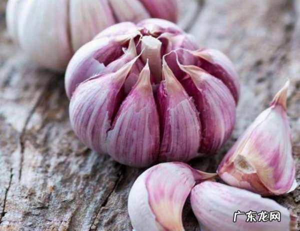 腊八蒜怎么做,腊八蒜的做法最正宗的做法腌糖醋大祘怎么腌