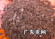 家庭如何做腐殖土,腐叶土的制作方法