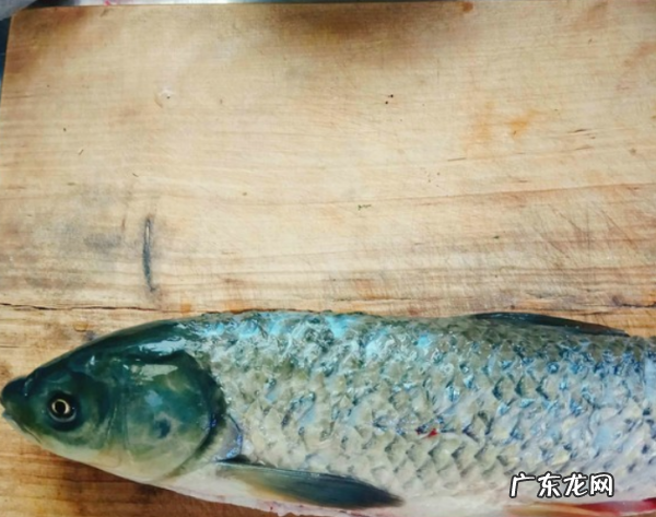 草鱼怎么炒好吃,草鱼怎么做比较好吃