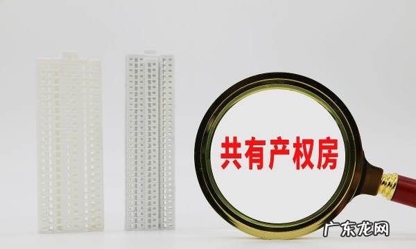 共有产权房什么时候交首付,上海共有产权房如何购买政府部分