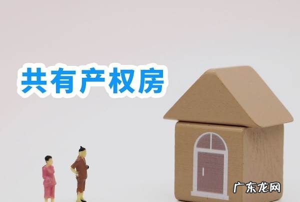 共有产权房什么时候交首付,上海共有产权房如何购买政府部分