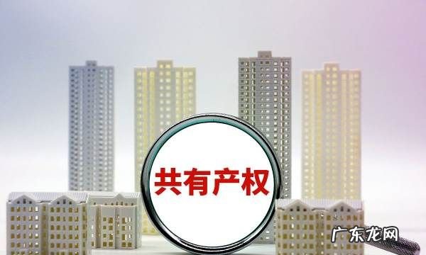 共有产权房什么时候交首付,上海共有产权房如何购买政府部分