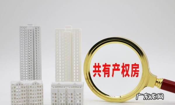 共有产权房什么时候交首付,上海共有产权房如何购买政府部分