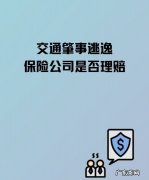 交通肇事逃逸保险赔,肇事逃逸 保险公司赔偿