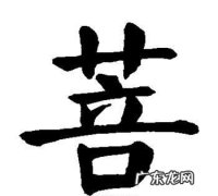 菩提偈表达了什么意思,菩提偈这首歌表达了什么意思