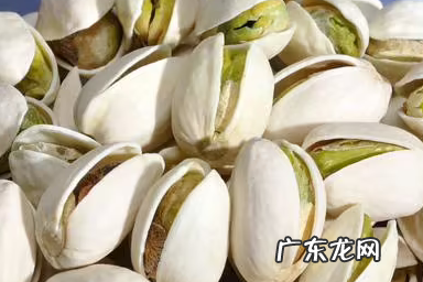 银杏果是不是开心果,开心果和银杏果是一种果实