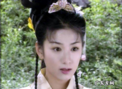 公子齐是什么电视剧,《上错花轿嫁对郎》的主题歌是什么