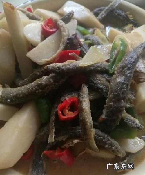 泥鳅红薯芋头的功效,荔浦芋头的功效与作用禁忌