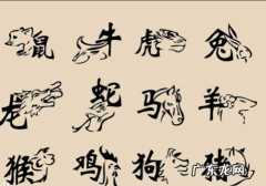 十二属相的排序怎么排的,十二生肖属相排位顺序