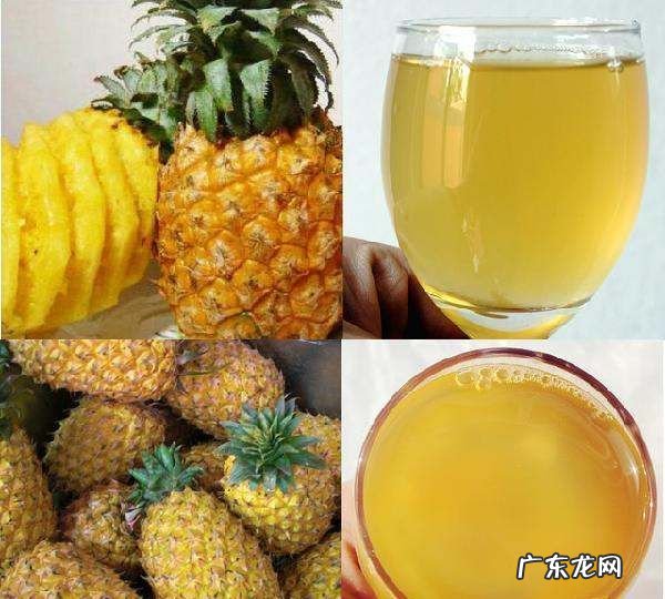 菠萝可以酿酒,菠萝可以做酒