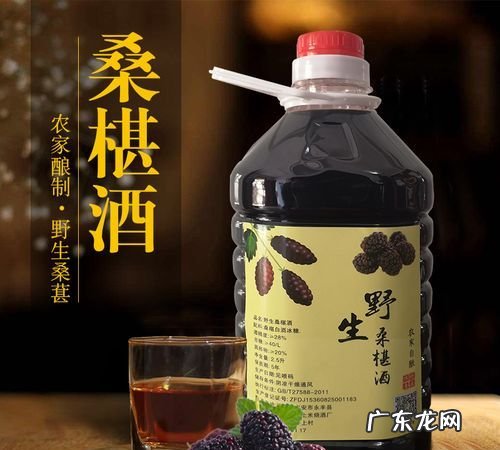 桑葚酒可以长期饮用,桑葚酒可以天天喝 对女人有什么好处