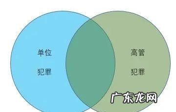 构成单位犯罪的条件是什么,单位成为犯罪主体的条件