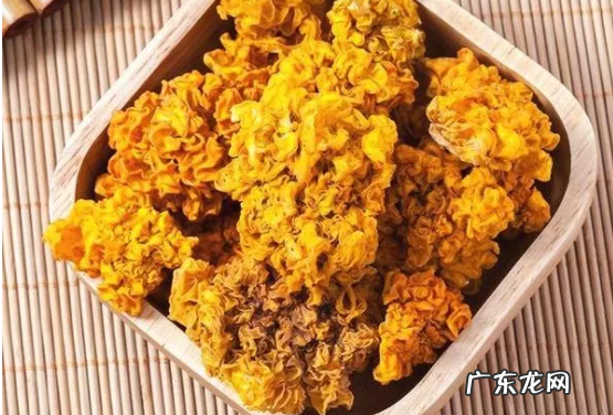 金耳的功效与作用,金耳怎么泡发最好吃