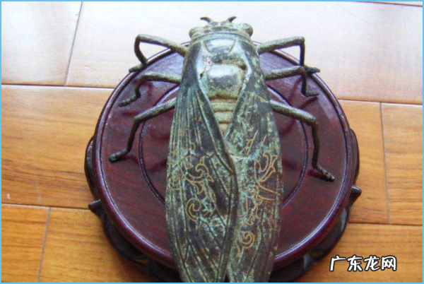 蝉几月份消失,禅什么时候都不出土了