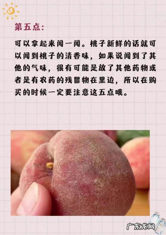 桃子怎么挑选,桃子怎么挑才是最甜的
