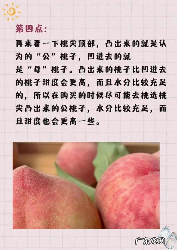桃子怎么挑选,桃子怎么挑才是最甜的