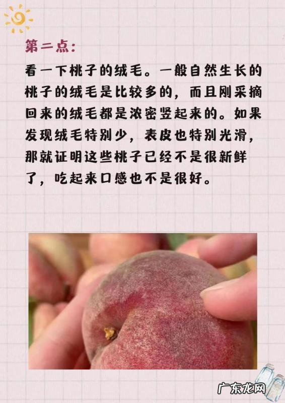 桃子怎么挑选,桃子怎么挑才是最甜的