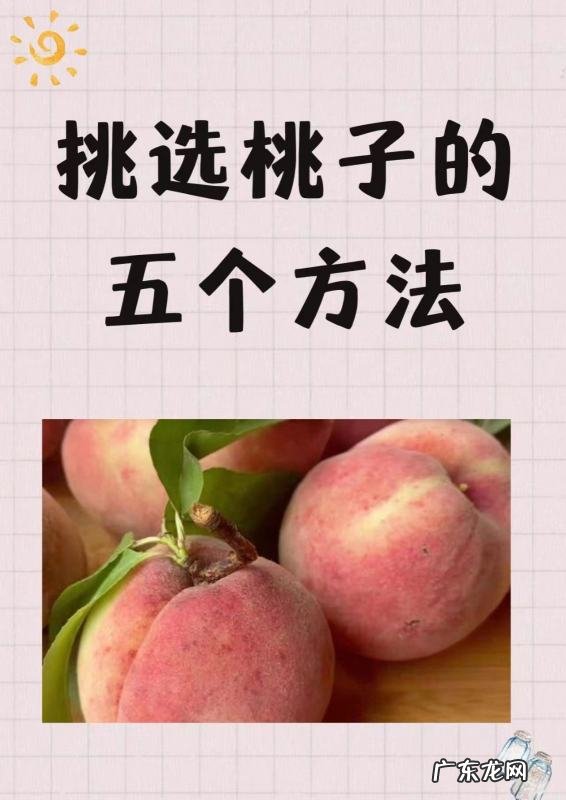 桃子怎么挑选,桃子怎么挑才是最甜的