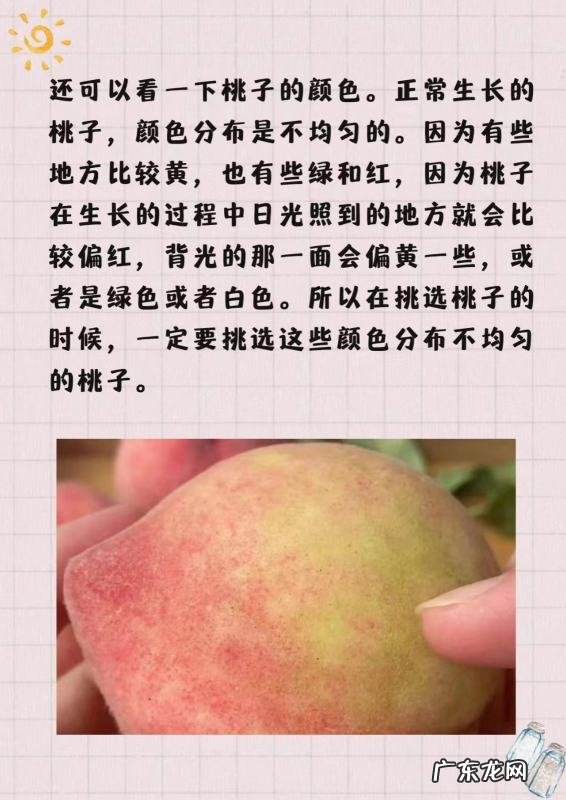 桃子怎么挑选,桃子怎么挑才是最甜的