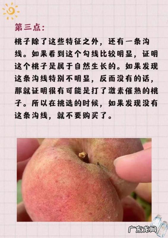 桃子怎么挑选,桃子怎么挑才是最甜的