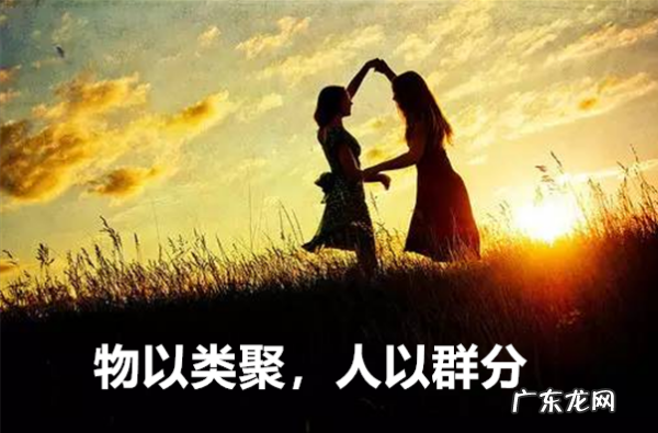 人与群分物以类聚的意思,物以类聚人以群分是什么意思