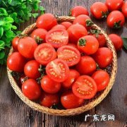 玲珑千禧的功效与作用,千禧果的营养价值及功效与作用