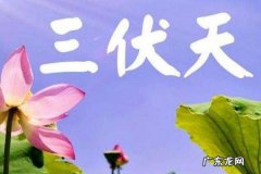 三伏天是什么意思?,什么叫三伏天 三伏天是哪三伏