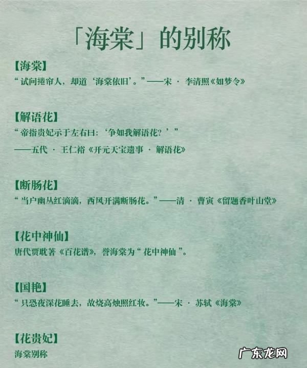 海棠花的美称是什么,海棠花的花语是什么